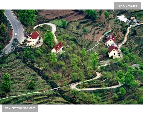 拉纳卡胜利之道：全力以赴成就最终成功